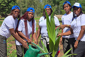 Promotion de la production agro-sylvo-pastorale