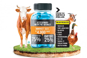 Vente d’équipements zoo vétérinaires