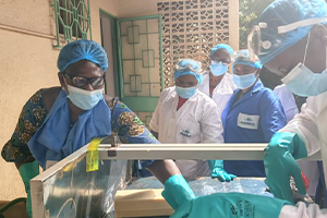 Assistance en appui-conseil et suivi