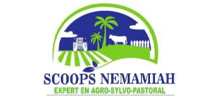 SCOOPS NEMAMIAH