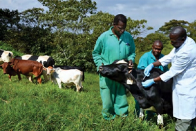 Appui aux producteurs agro-pastoraux